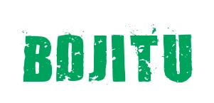 Bdjitu logo